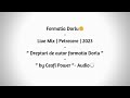 Formatia Dorlu - Live Mix - Petrecere - 229