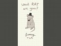 Que Ratita🐭 eres ? Comenta✨ #ratantata #rat #ratoncito