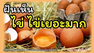 ฝันเห็นไข่ ไข่ไก่ไข่เป็ด ฝันเห็นไข่เยอะมาก ฝันเห็นไข่เลขมงคล ดวง ทำนายฝัน:Lucky Man ลัคกี้แมน