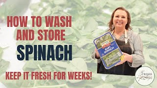 How to Wash and Store Spinach 🌱 | Keep It Fresh for Weeks!