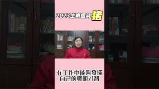 2023年生肖豬運勢分析 完整版請點擊頭像觀看 #shorts