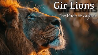 Gir Lions: The Pride of Gujarat | The Story of Gir Lions | Teaser | हिंदी