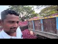 lasalgaon onion market price today latest rate insights 21 december 2024 mandi