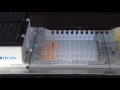 An MCA 96  is pipetting with a column of eight DiTis.
