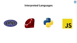 Executing Your Code