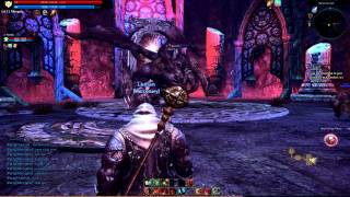Tera Online - First Boss