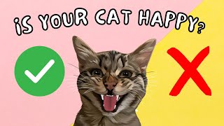 Is YOUR Cat HAPPY? - 6 Signs That Your Cat LOVES YOU!