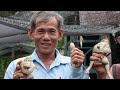 ការចិញ្ចឹមកង្កែប frog raising