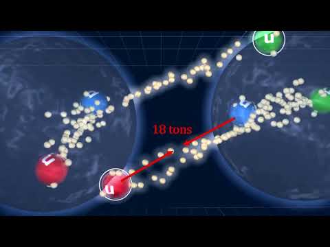 Do two protons attract or repel?