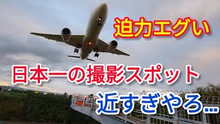 【40m！】真上を通る飛行機の撮影スポットに行ってみた