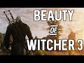 The Beauty of The Witcher 3