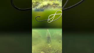 Easiest way to tie fishing hook 🎣 সবচেয়ে সহজে বড়শি বাধার নিয়ম