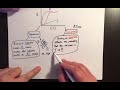 allosteric enzymes sigmoidal kinetics