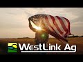 Independence Day at Westlink Ag Co-Op Corporation