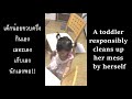 happy baby เด็กน้อย ช่วยแม่ทำงานบ้าน กินเองเก็บเอง นักเลงพอ a toddler cleans her mess herself