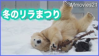 プールへ連続ダイブ！雪すべり 真冬の遊びを見せるホッキョクグマ リラ　お立ち台に上がったララ