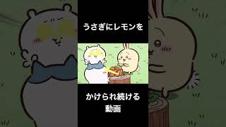 【ちいかわ】うさぎにレモンをかけられ続ける動画 #Shorts