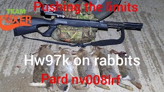 HW97K 177 rabbit shooting