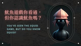 魷魚遊戲你看過，但你認識魷魚嗎？