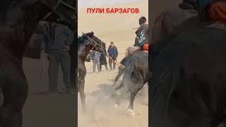 ГАРАВУТИ БУЗКАШИ