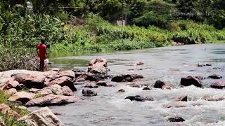 Amaravathi River | Kolumam Village | Udumalpet Best Tourist Places