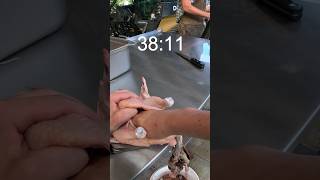 Butchering a chicken in 55 seconds