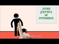 טיפול משלים למחלות ילדים