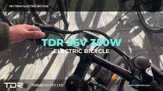 Unleash the Speed with the 36V 350W TDR Mountain Electric Bike!