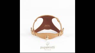 Fahion harness for dogs by Pupakiotti