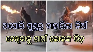 Gaan kabita \\\\Rangiagarh\\\\Aghori Lila \\\\ମୁଣ୍ଡରୁ ବାହାରିଲା ନିଆଁ ଗାଆଁ ଲୋକଙ୍କ ପ୍ରବଳ ଭିଡ।କାଳି ପୁଜା ଭସାଣି