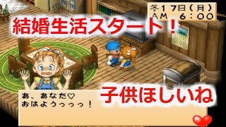 牧場物語～ハーベストムーン～　106日目