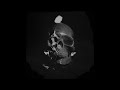 RAUM - 1099
