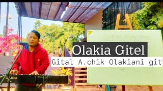 Olakiani gital git ( Olakia,,,,. Gitel)