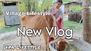 গ্রাম এর লাইফ স্টাইল // Village Life // Village Vlog // Dipa Lifestyle