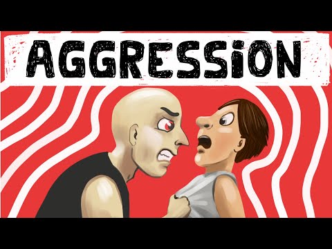 What is the frustration aggression theory of prejudice?