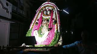 🐚Sri Venkateswara Swamy Temple Darshanam🍃|ஸ்ரீ வெங்கடேஸ்வர ஸ்வாமி கோவில் சப்பரம் சிறப்பு தரிசனம்