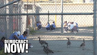 Inside Prison Amid Coronavirus Pandemic: Incarcerated Journalist Says Millions Behind Bars at Risk