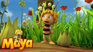 Alarm - Maya the Bee - Episode 48