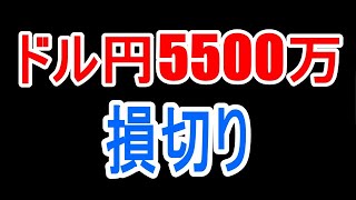 円安に耐え切れずドル円で5500万を損切りしました