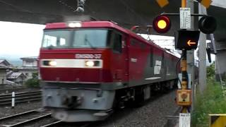 【ジョイント音最高!26　踏切シリーズ16】EH500　8051レ臨時高速貨物列車