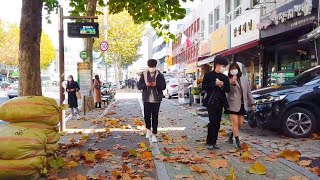 [4K] Walk to Jamsil Songpa-gu Songridan-gil : fall has come in Korea