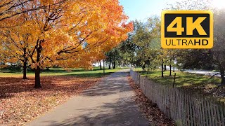 Chicago's Lakefront Trail | Promontory Point to 71st Street [4K]