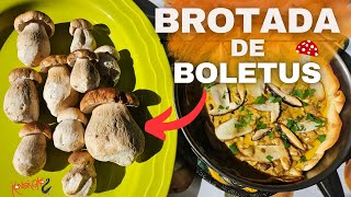 ✅BROTADA DE BOLETUS Perfectos🍄NUNCA Había cogido Tantas Setas