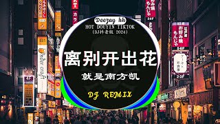 🎧全中文DJ舞曲夜店混音舞曲串烧 2024🎼酒吧最火DJ舞曲 : 离别开出花 - 就是南方凯 / 三生三幸-海来阿木 / 阿冗 - 你的答案 /...🔥Chinese Song Remix 2024