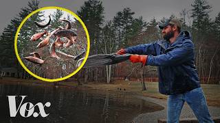 America's fishing paradox