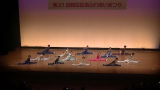 東京太極拳協会武術隊表演（桜区区民ふれあいまつり）