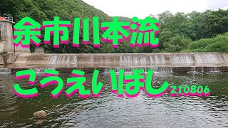 北海道の渓流釣り 余市川本流 こうえいばし　210806