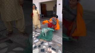 Ma'am Help! Dog le lo!"   #doglovers #viral #video #shorts  #trending #ytshorts