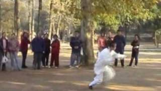 China Wudang Kungfu - Long Hua Quan - Dragon Form - Master Chen Shixing