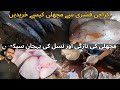 How to buy Fish in Pakistan | Karachi Fishery | Karachi Online Sea Food | Karachi Fish Market